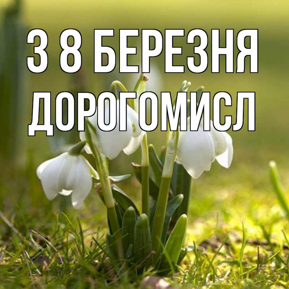Открытка на каждый день з підписом, Дорогомисл З 8 БЕРЕЗНЯ ранние цветы 2 Прикольна листівка з побажанням онлайн скачати безкоштовно 