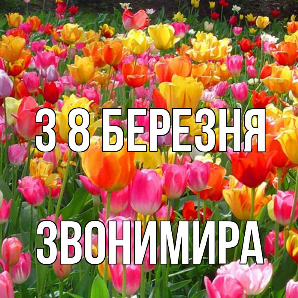 Открытка на каждый день з підписом, Звонимира З 8 БЕРЕЗНЯ на международный женский день Прикольна листівка з побажанням онлайн скачати безкоштовно 