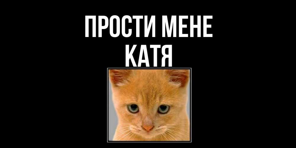 Открытка на каждый день з підписом, Катя Прости мене рыжий грустный кот просит прощения Прикольна листівка з побажанням онлайн скачати безкоштовно 