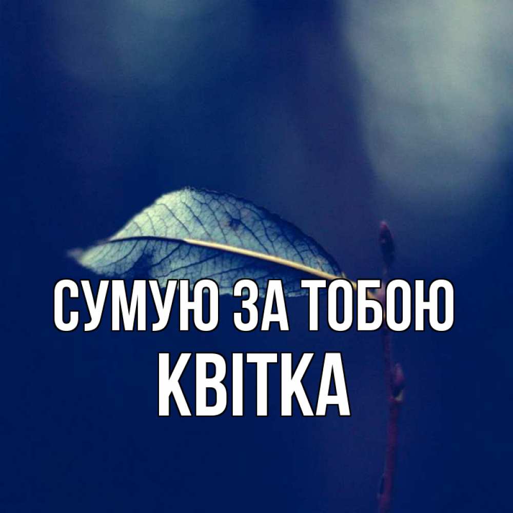 Открытка на каждый день з підписом, Квітка Сумую за тобою одна ветка 1 Прикольна листівка з побажанням онлайн скачати безкоштовно 