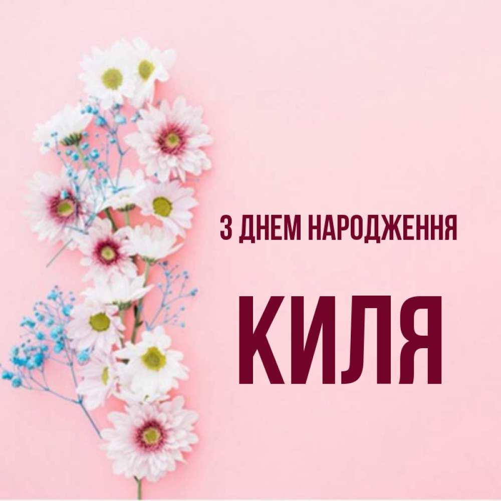 Открытка на каждый день з підписом, Киля З Днем народження Родная моя с днем рождения тебя картинка с цветами белыми и голубыми Прикольна листівка з побажанням онлайн скачати безкоштовно 
