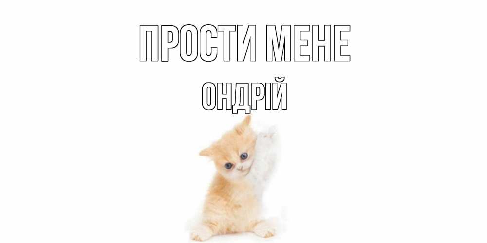 Открытка на каждый день з підписом, Ондрій Прости мене кот Прикольна листівка з побажанням онлайн скачати безкоштовно 