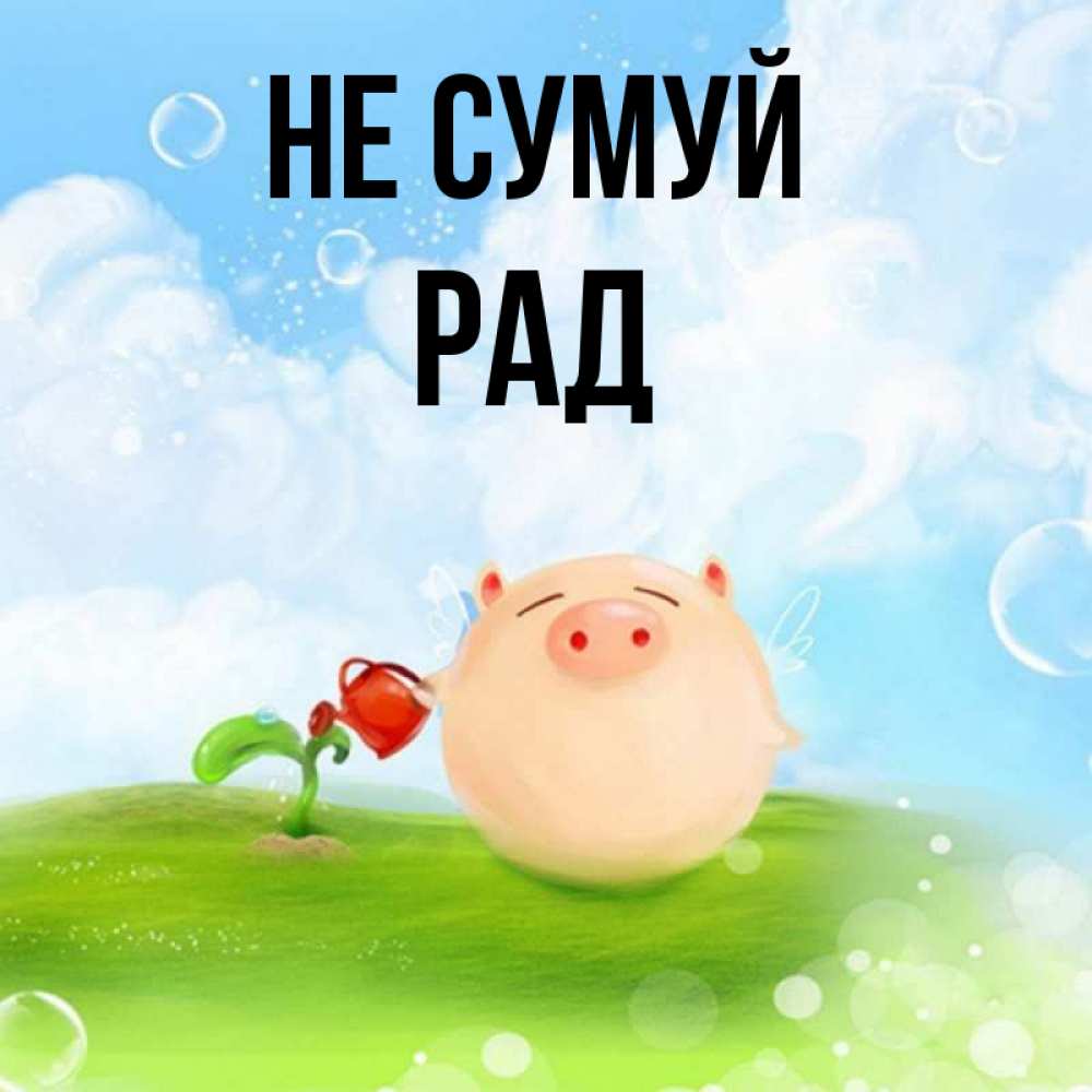 Открытка на каждый день з підписом, Рад Не сумуй поливает цветок порося Прикольна листівка з побажанням онлайн скачати безкоштовно 