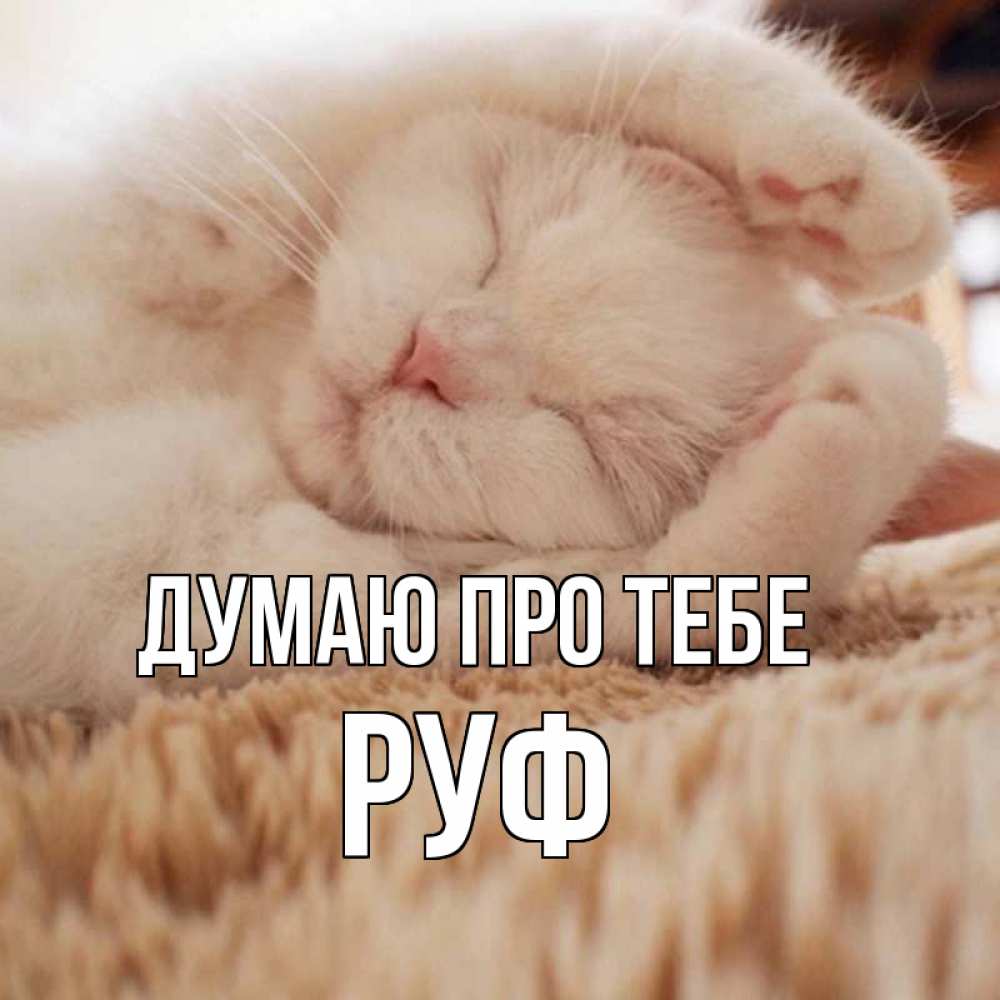 Открытка на каждый день з підписом, Руф Думаю про тебе для любимой девушки милота Прикольна листівка з побажанням онлайн скачати безкоштовно 