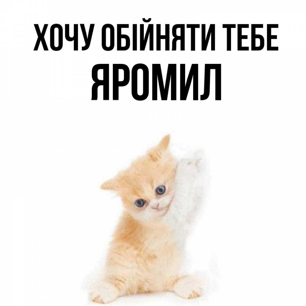 Открытка на каждый день з підписом, Яромил Хочу обійняти тебе я хочу очень скорее обнимаешек Прикольна листівка з побажанням онлайн скачати безкоштовно 