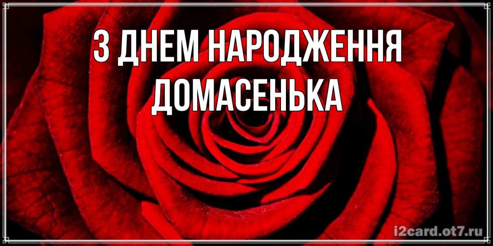 Открытка на каждый день з підписом, Домасенька З Днем народження алая роза Прикольна листівка з побажанням онлайн скачати безкоштовно 