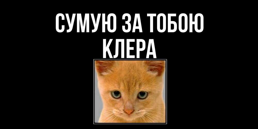 Открытка на каждый день з підписом, Клера Сумую за тобою открытки рыжий котенок скучает по тебе Прикольна листівка з побажанням онлайн скачати безкоштовно 