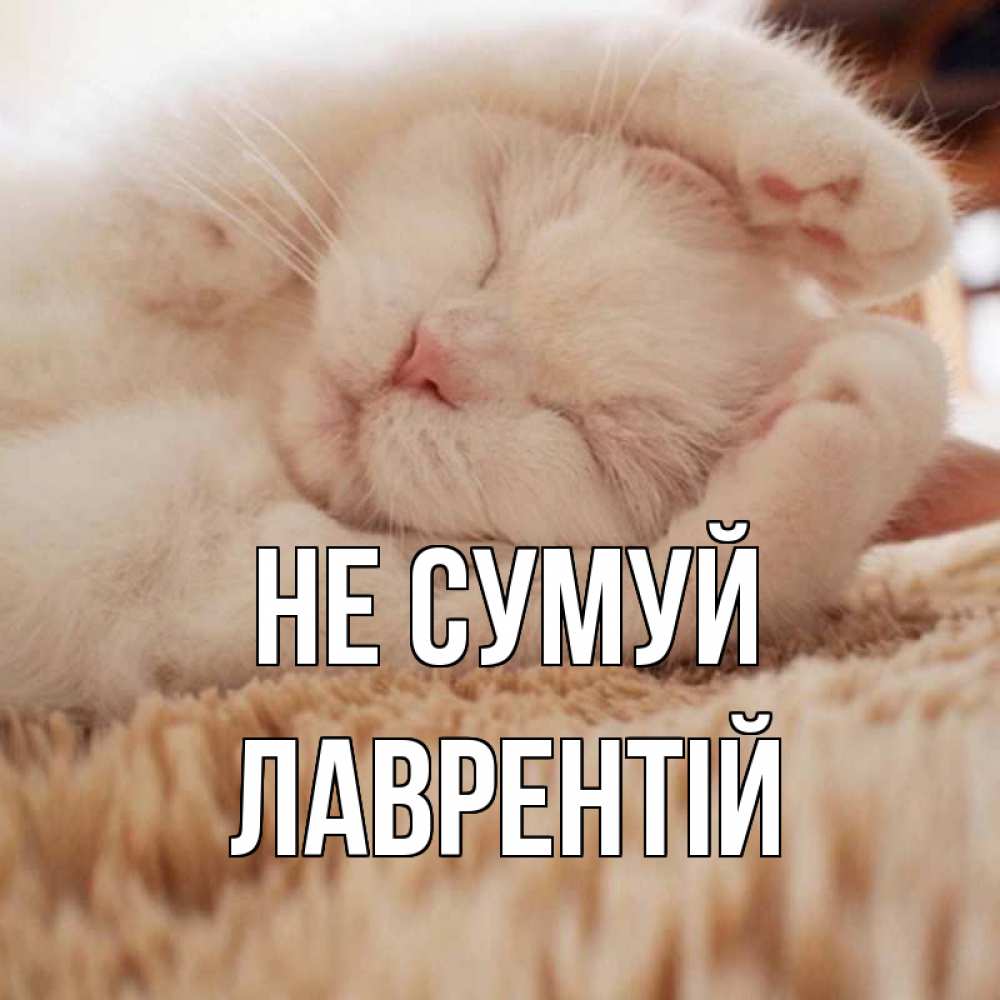 Открытка на каждый день з підписом, Лаврентій Не сумуй белый кот Прикольна листівка з побажанням онлайн скачати безкоштовно 