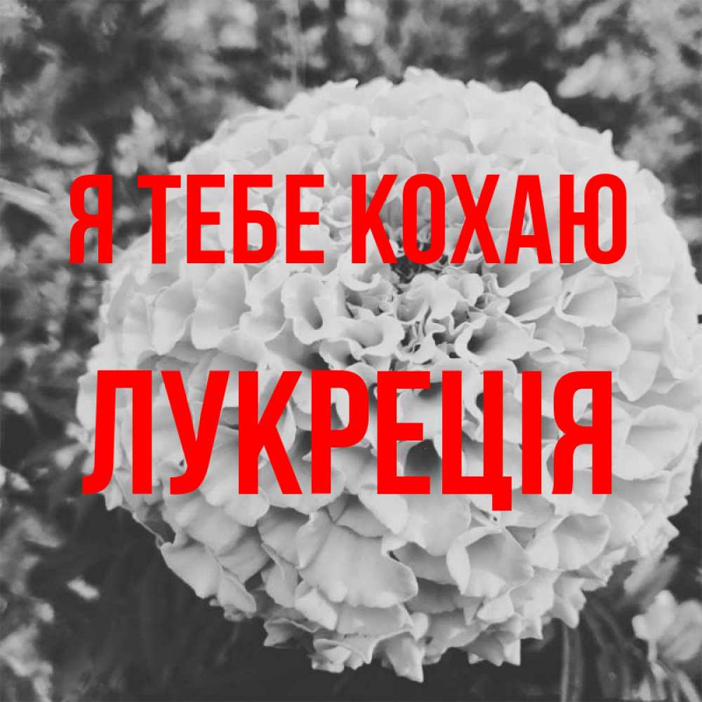 Открытка на каждый день з підписом, Лукреція Я тебе кохаю подпись Прикольна листівка з побажанням онлайн скачати безкоштовно 