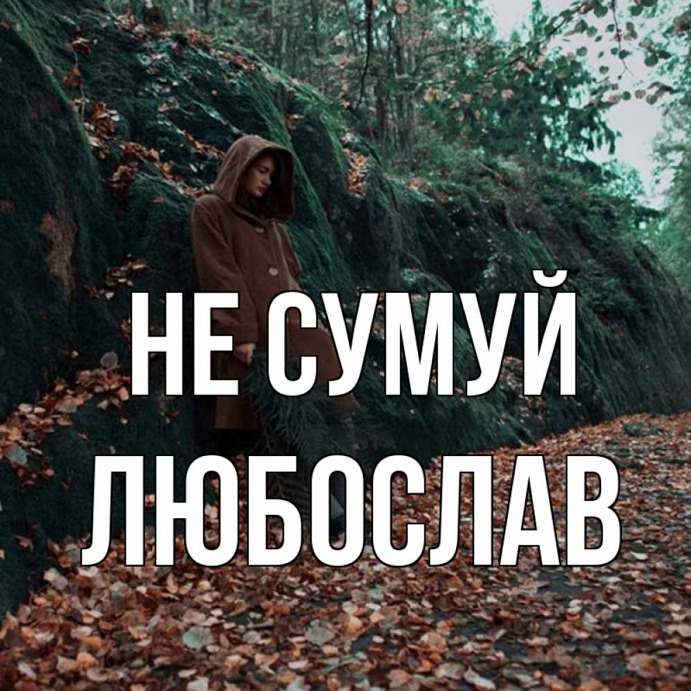 Открытка на каждый день з підписом, Любослав Не сумуй осенний лес Прикольна листівка з побажанням онлайн скачати безкоштовно 
