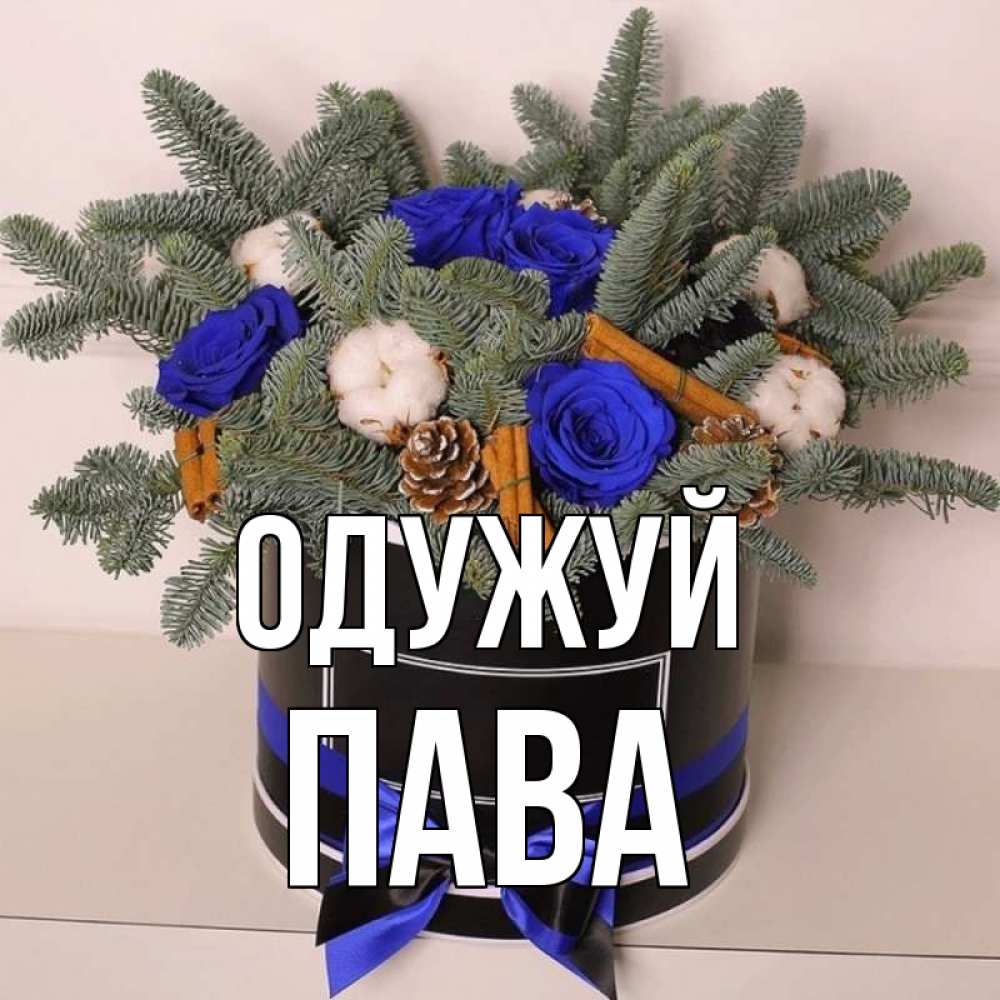 Открытка на каждый день з підписом, Пава Одужуй короче кто то загрузил эти шишки Прикольна листівка з побажанням онлайн скачати безкоштовно 
