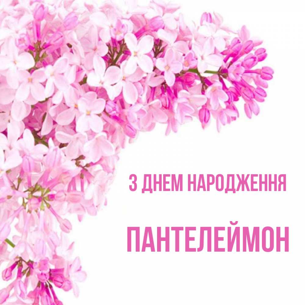 Открытка на каждый день з підписом, Пантелеймон З Днем народження Сирень на белом фоне Прикольна листівка з побажанням онлайн скачати безкоштовно 