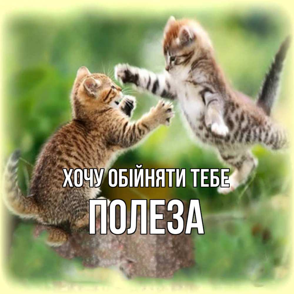 Открытка на каждый день з підписом, Полеза Хочу обійняти тебе игры котят Прикольна листівка з побажанням онлайн скачати безкоштовно 