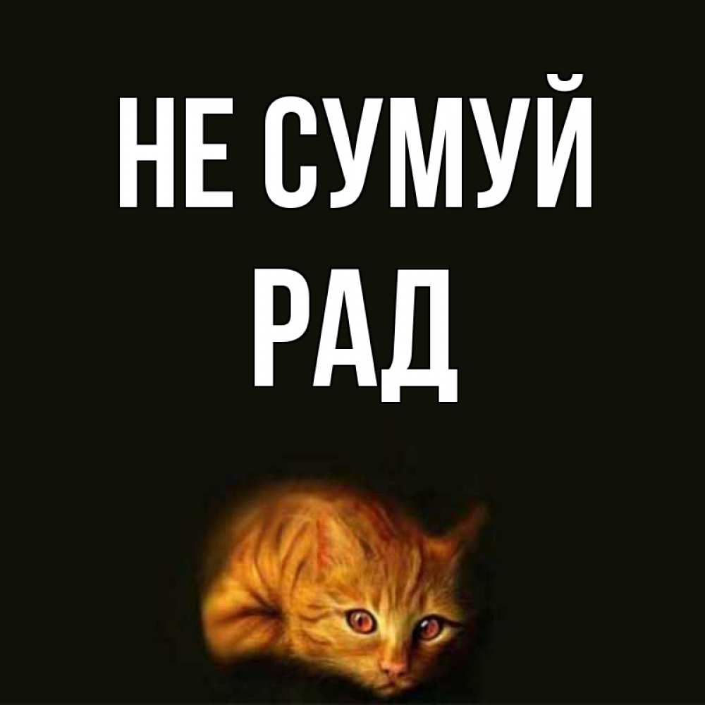 Открытка на каждый день з підписом, Рад Не сумуй лежащий кот в темноте Прикольна листівка з побажанням онлайн скачати безкоштовно 