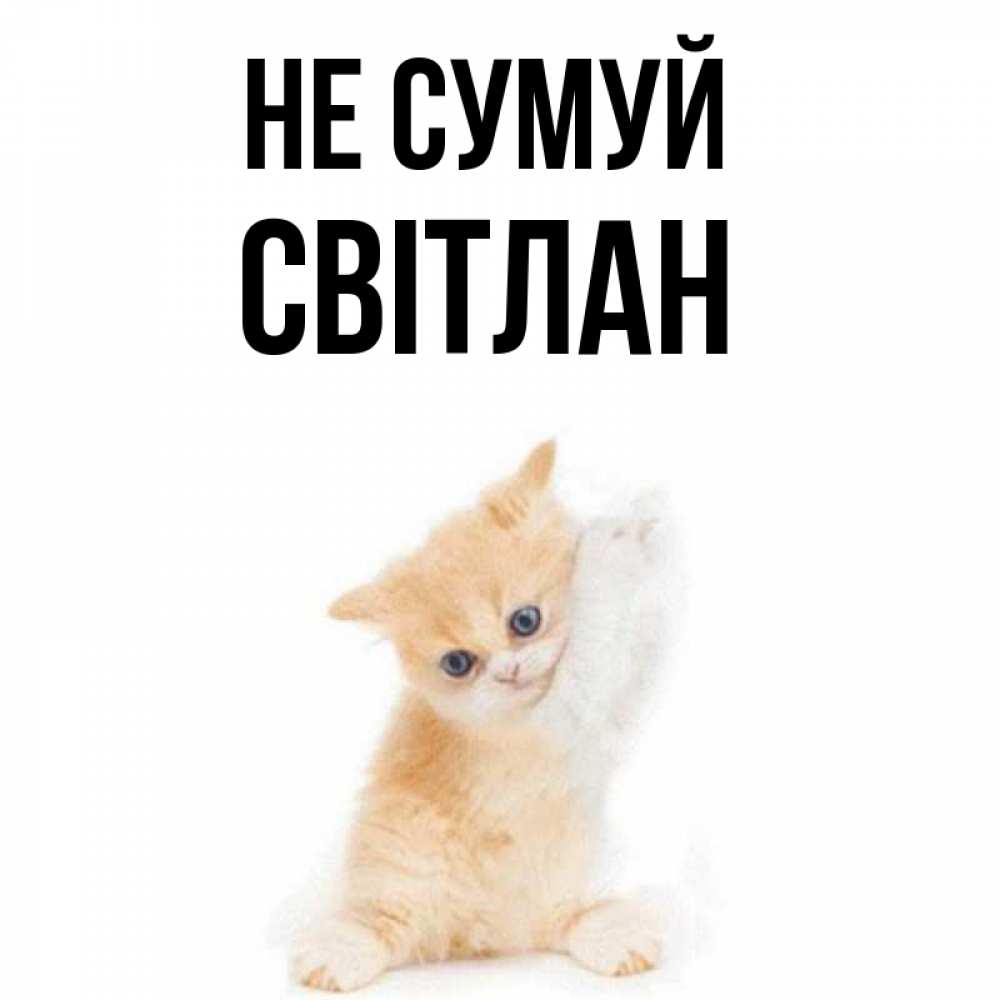 Открытка на каждый день з підписом, Світлан Не сумуй просящий кот Прикольна листівка з побажанням онлайн скачати безкоштовно 