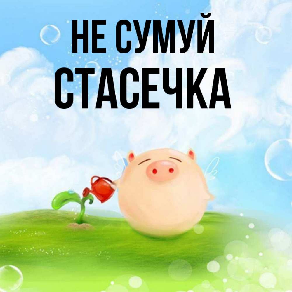 Открытка на каждый день з підписом, Стасечка Не сумуй поливает цветок порося Прикольна листівка з побажанням онлайн скачати безкоштовно 