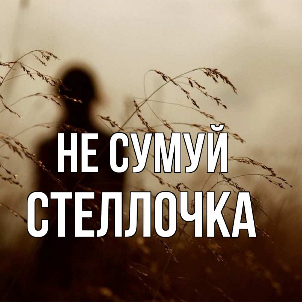 Открытка на каждый день з підписом, Стеллочка Не сумуй грусть Прикольна листівка з побажанням онлайн скачати безкоштовно 