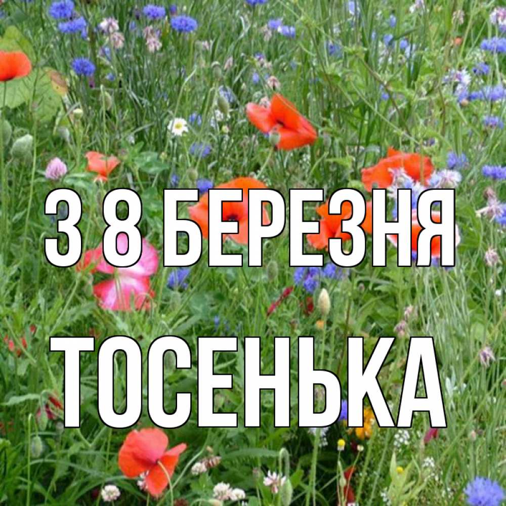 Открытка на каждый день з підписом, Тосенька З 8 БЕРЕЗНЯ международный женский день 4 Прикольна листівка з побажанням онлайн скачати безкоштовно 