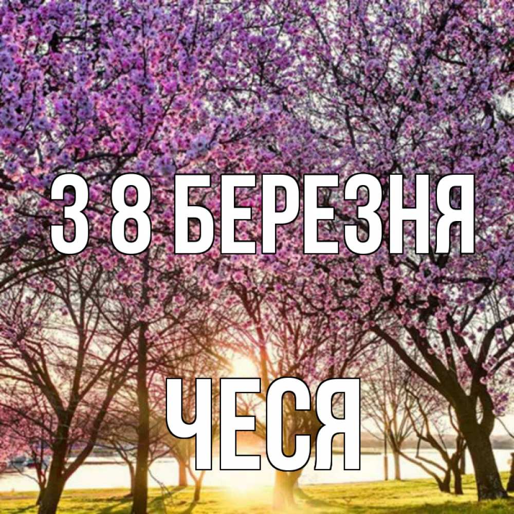Открытка на каждый день з підписом, Чеся З 8 БЕРЕЗНЯ международный женский день Прикольна листівка з побажанням онлайн скачати безкоштовно 