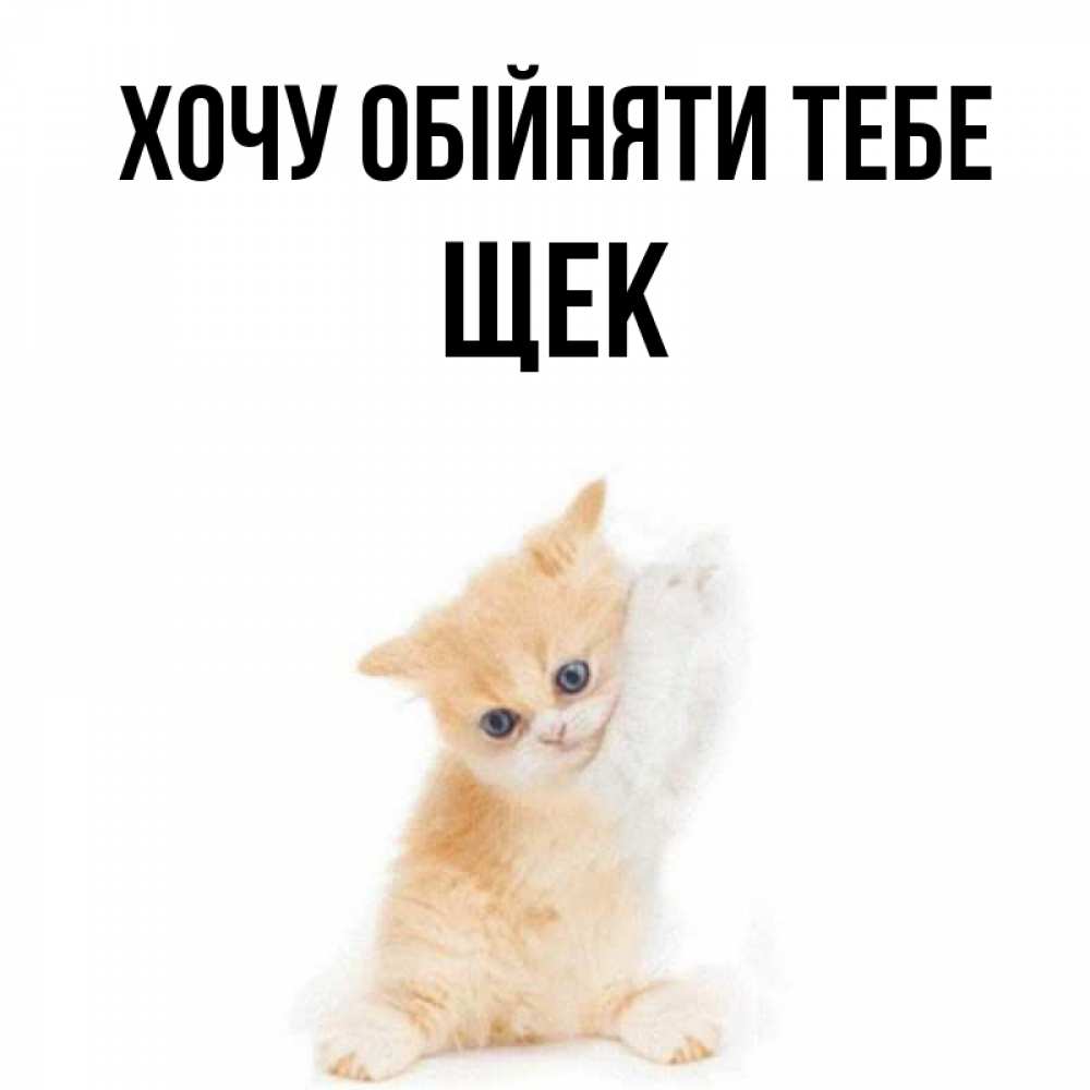 Открытка на каждый день з підписом, Щек Хочу обійняти тебе я хочу очень скорее обнимаешек Прикольна листівка з побажанням онлайн скачати безкоштовно 