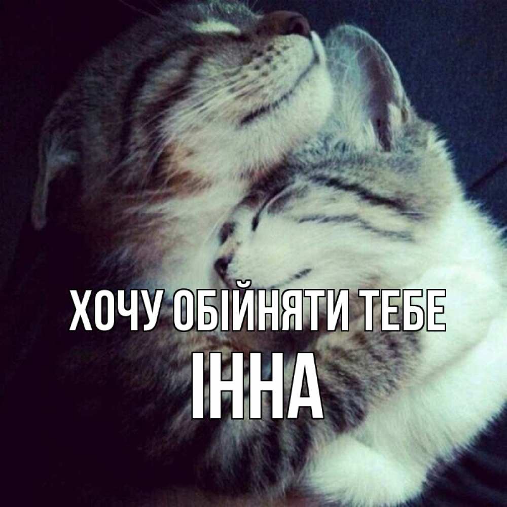 Открытка на каждый день з підписом, Інна Хочу обійняти тебе полосатики Прикольна листівка з побажанням онлайн скачати безкоштовно 