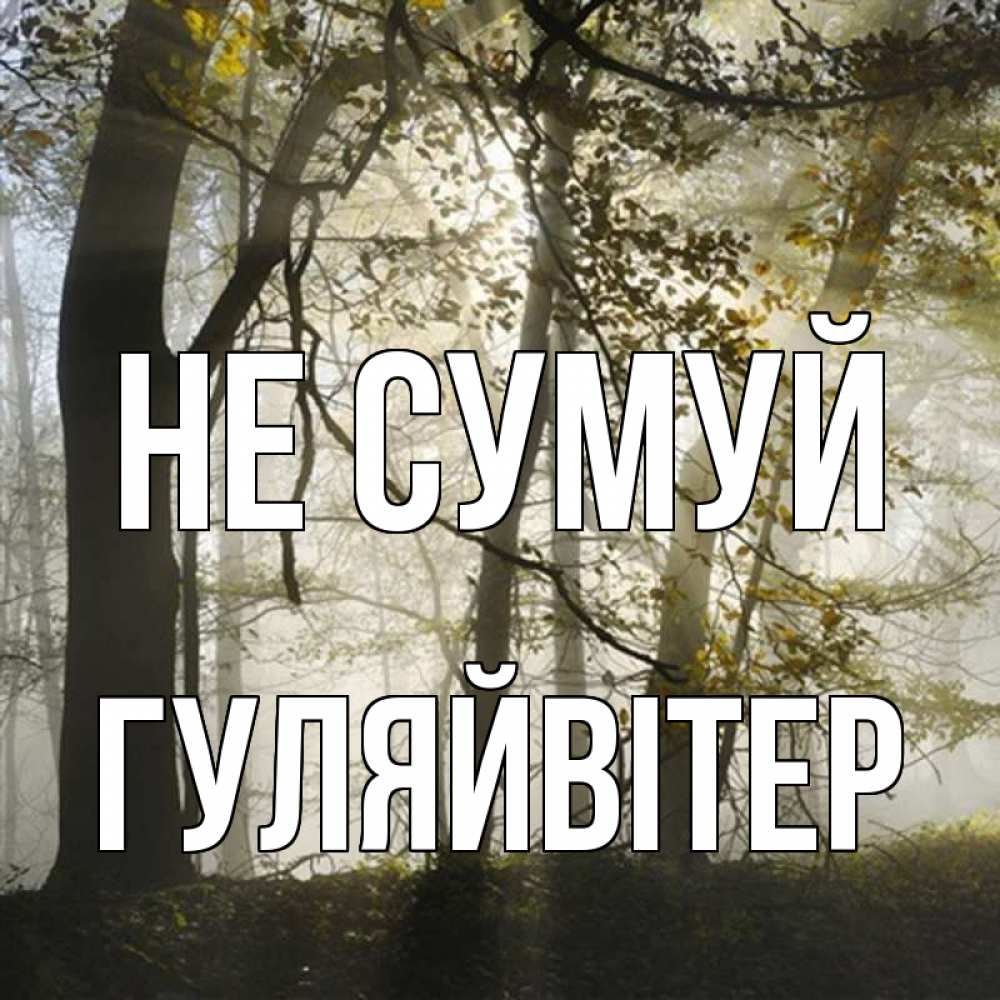 Открытка на каждый день з підписом, Гуляйвітер Не сумуй лес и свет Прикольна листівка з побажанням онлайн скачати безкоштовно 