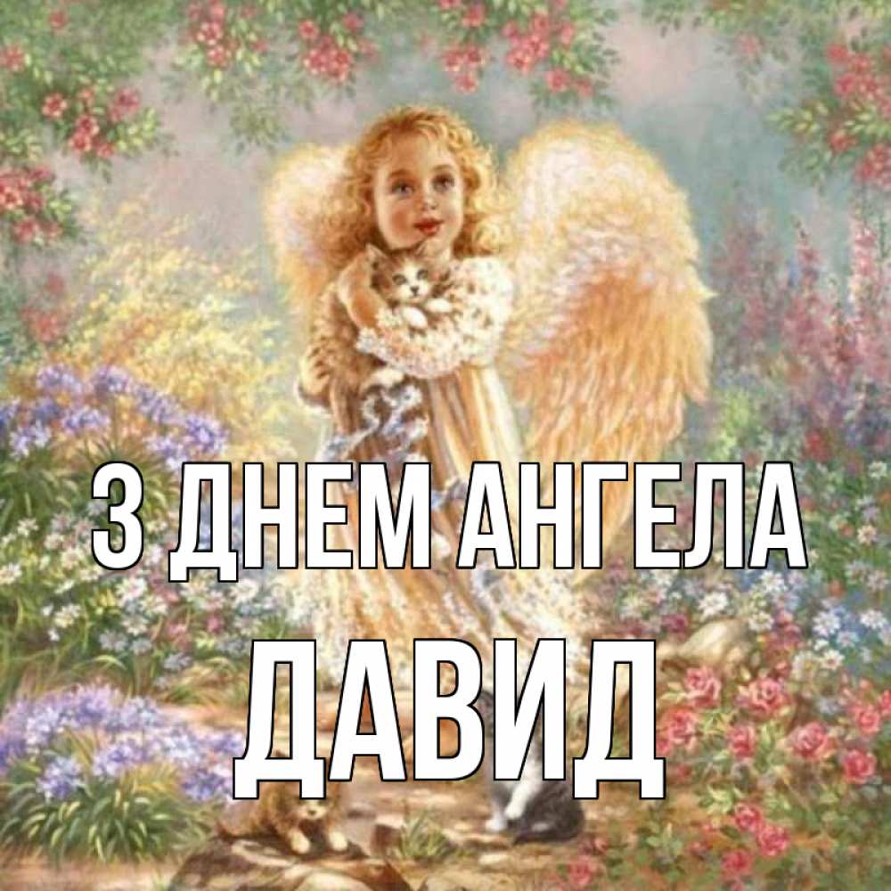 Открытка на каждый день з підписом, Давид З Днем ангела держит котенка Прикольна листівка з побажанням онлайн скачати безкоштовно 