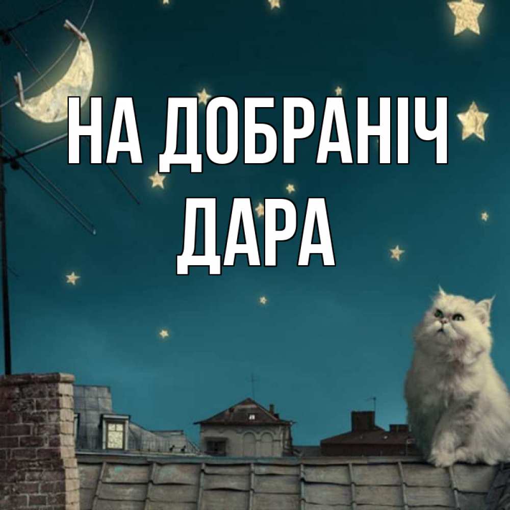 Открытка на каждый день з підписом, Дара На добраніч белый кот сидит на крыше Прикольна листівка з побажанням онлайн скачати безкоштовно 