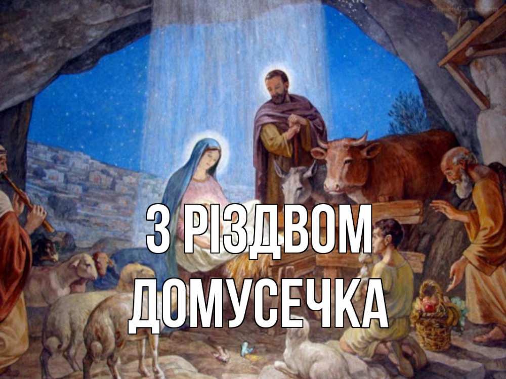 Открытка на каждый день з підписом, Домусечка З Різдвом Хлев с животными, Иисус, рождество Прикольна листівка з побажанням онлайн скачати безкоштовно 