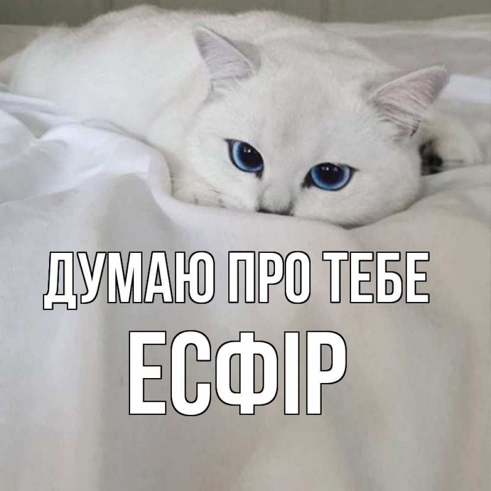 Открытка на каждый день з підписом, Есфір Думаю про тебе я очень по тебе скучаю и тоскую Прикольна листівка з побажанням онлайн скачати безкоштовно 