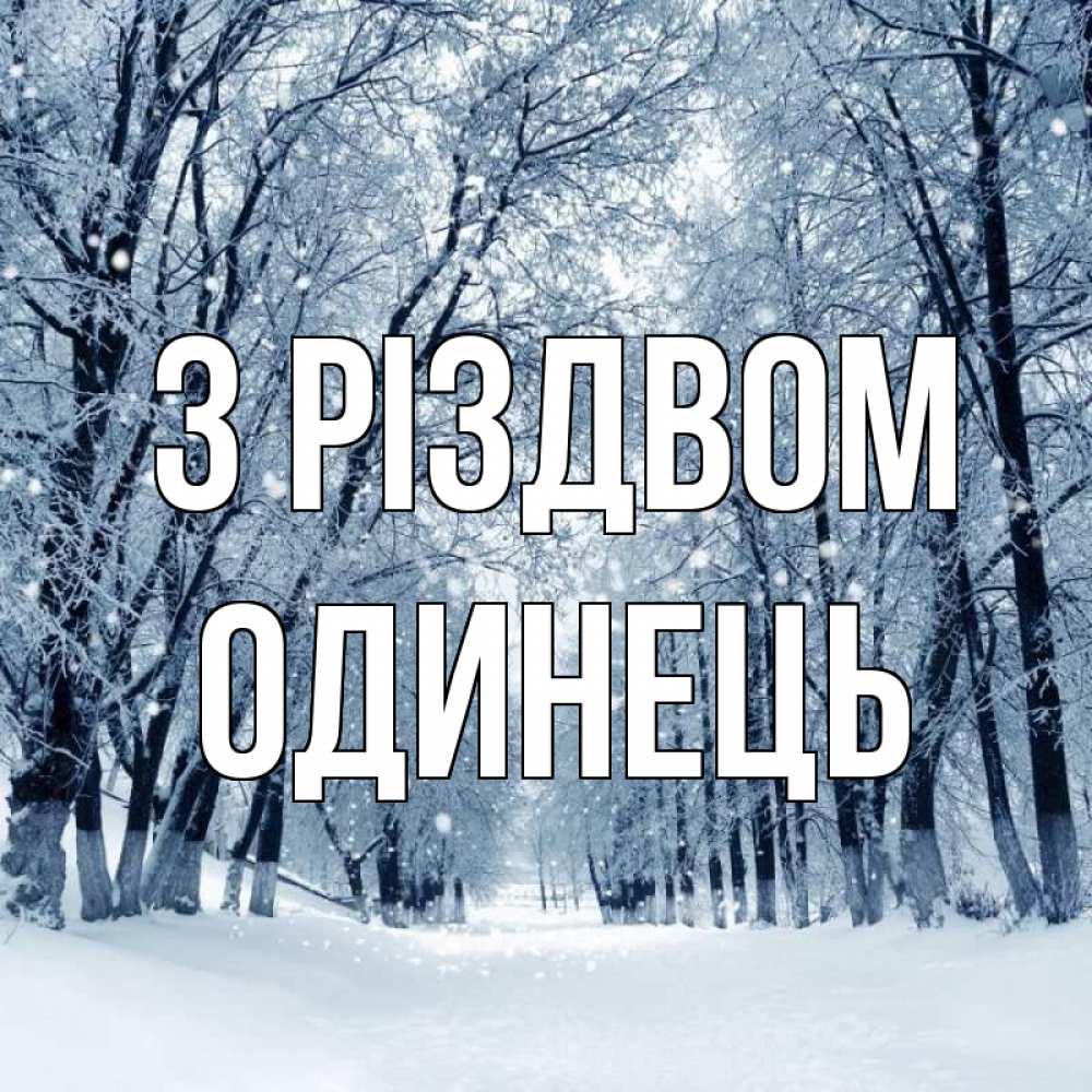 Открытка на каждый день з підписом, Одинець З Різдвом снег, лес, парк Прикольна листівка з побажанням онлайн скачати безкоштовно 