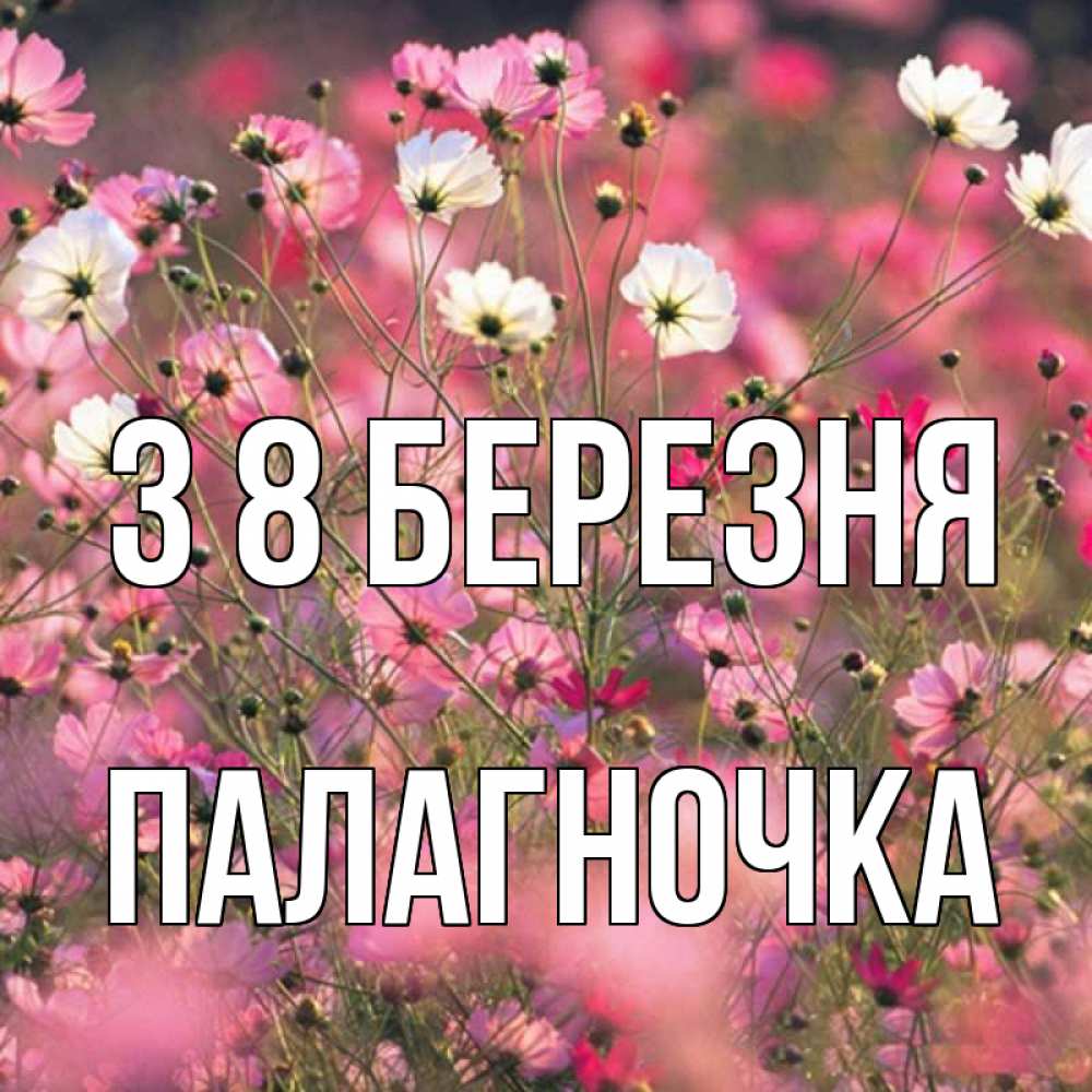 Открытка на каждый день з підписом, Палагночка З 8 БЕРЕЗНЯ красиво 1 Прикольна листівка з побажанням онлайн скачати безкоштовно 