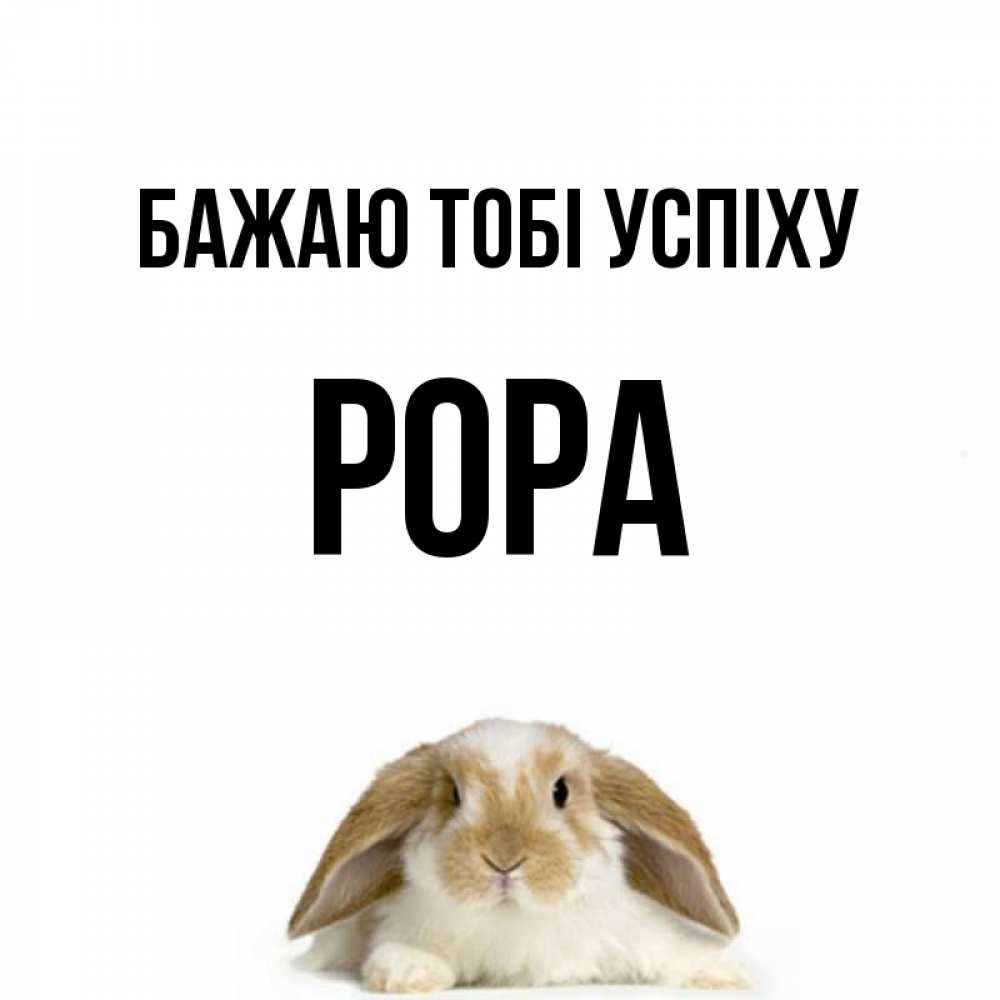 Открытка на каждый день з підписом, Рора Бажаю тобі успіху открытки с произвольным текстом который можно вставить в открытку и создать ее самостоятельно бесплатно онлайн Прикольна листівка з побажанням онлайн скачати безкоштовно 