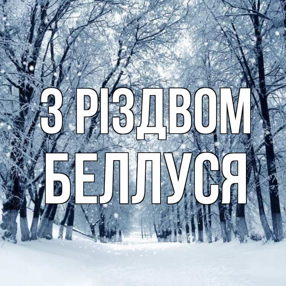 Открытка на каждый день з підписом, Беллуся З Різдвом снег, лес, парк Прикольна листівка з побажанням онлайн скачати безкоштовно 