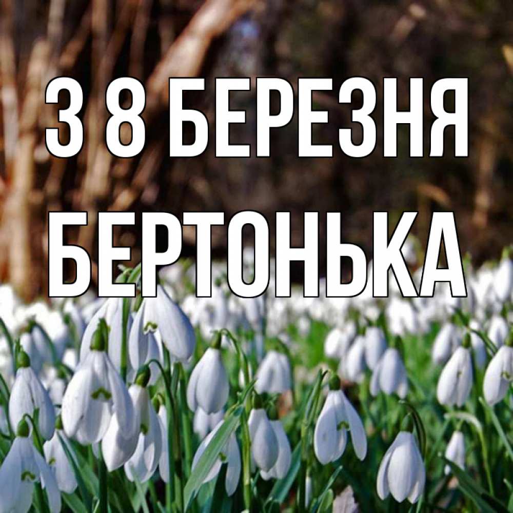 Открытка на каждый день з підписом, Бертонька З 8 БЕРЕЗНЯ с подснежниками 1 Прикольна листівка з побажанням онлайн скачати безкоштовно 