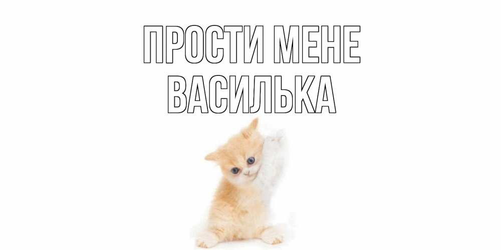 Открытка на каждый день з підписом, Василька Прости мене кот Прикольна листівка з побажанням онлайн скачати безкоштовно 