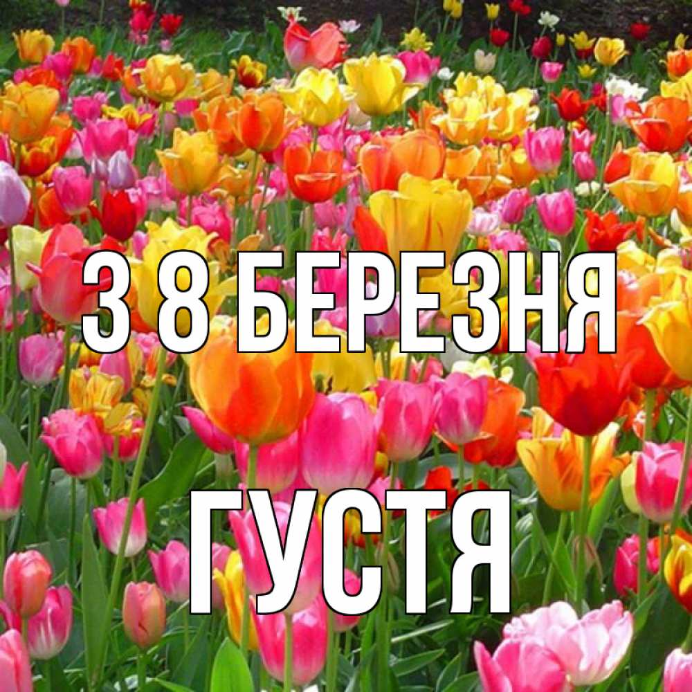 Открытка на каждый день з підписом, Густя З 8 БЕРЕЗНЯ на международный женский день Прикольна листівка з побажанням онлайн скачати безкоштовно 