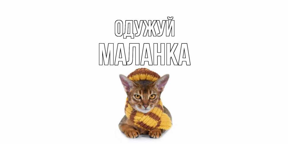 Открытка на каждый день з підписом, Маланка Одужуй родные не болейте Прикольна листівка з побажанням онлайн скачати безкоштовно 