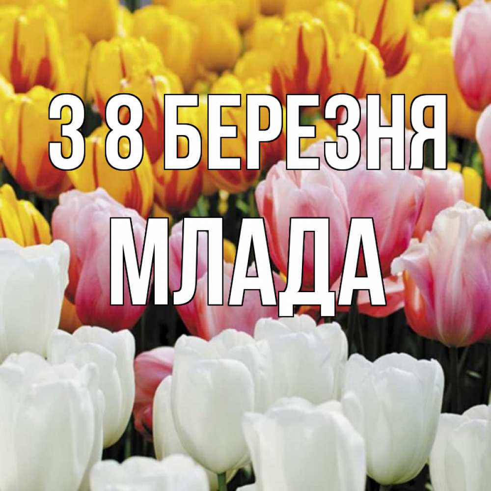 Открытка на каждый день з підписом, Млада З 8 БЕРЕЗНЯ разноцветные цветы Прикольна листівка з побажанням онлайн скачати безкоштовно 