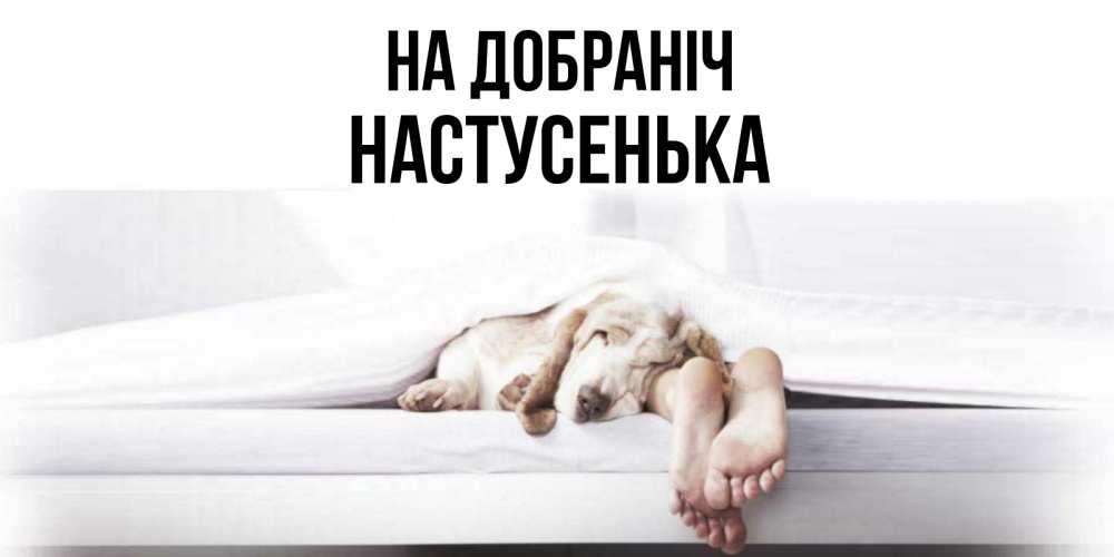 Открытка на каждый день з підписом, Настусенька На добраніч кровать с собакой пожелание сладких снов и спокойной ночи Прикольна листівка з побажанням онлайн скачати безкоштовно 