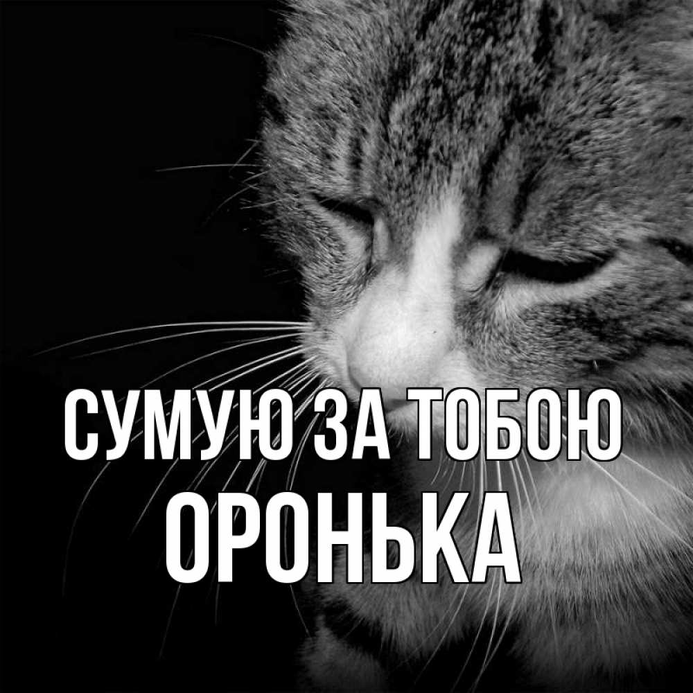 Открытка на каждый день з підписом, Оронька Сумую за тобою мне скучно Прикольна листівка з побажанням онлайн скачати безкоштовно 