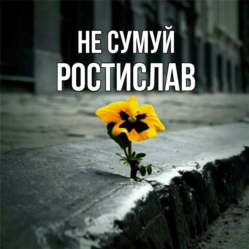 Открытка на каждый день з підписом, Ростислав Не сумуй не сдавайся Прикольна листівка з побажанням онлайн скачати безкоштовно 