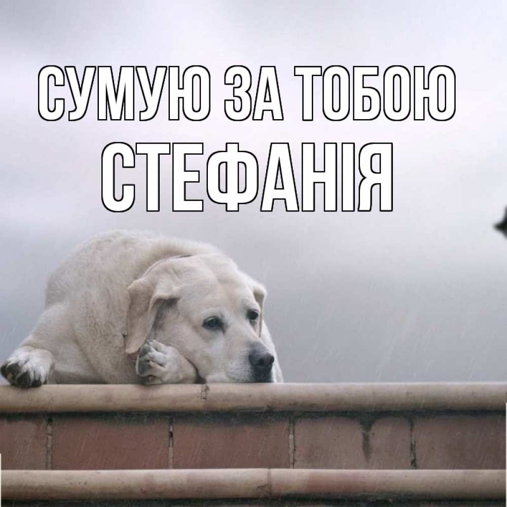 Открытка на каждый день з підписом, Стефанія Сумую за тобою ждет Прикольна листівка з побажанням онлайн скачати безкоштовно 