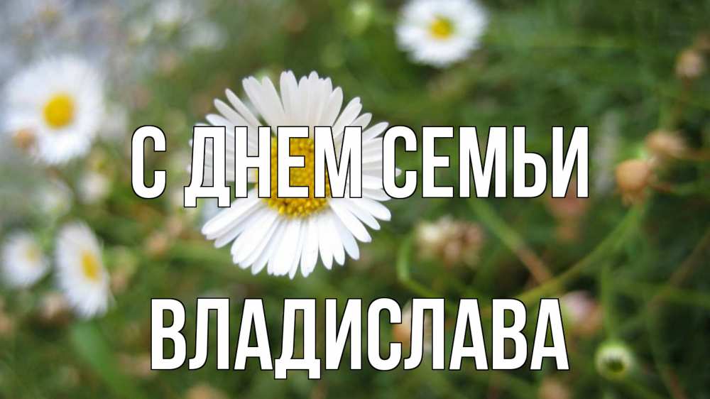 Открытка на каждый день з підписом, Владислава С днем семьи с днем семьи Прикольна листівка з побажанням онлайн скачати безкоштовно 