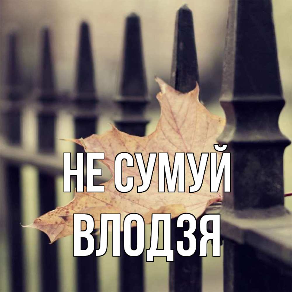 Открытка на каждый день з підписом, Влодзя Не сумуй лист клена Прикольна листівка з побажанням онлайн скачати безкоштовно 