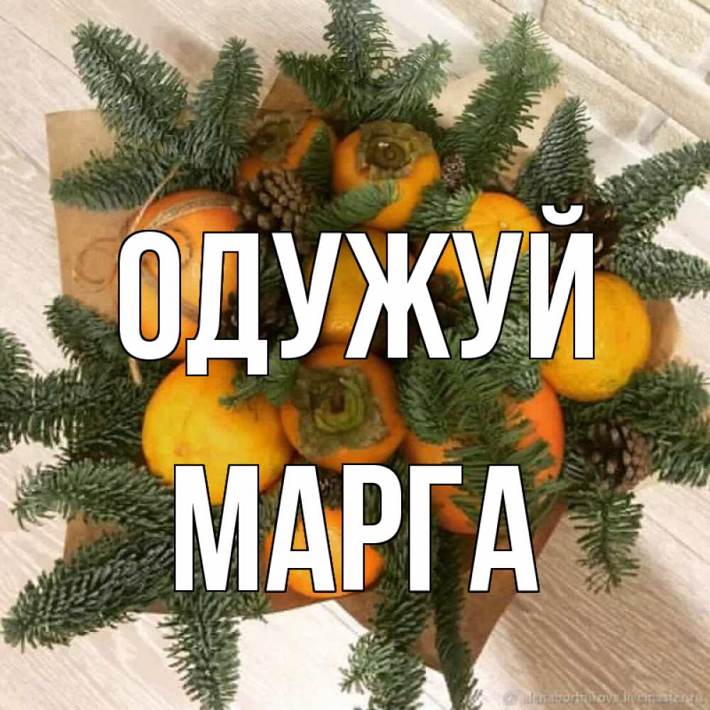 Открытка на каждый день з підписом, Марга Одужуй апельсины и хурьма Прикольна листівка з побажанням онлайн скачати безкоштовно 