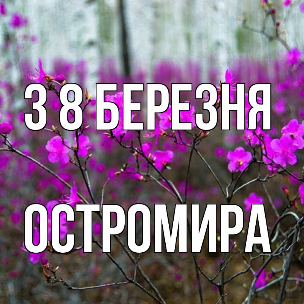 Открытка на каждый день з підписом, Остромира З 8 БЕРЕЗНЯ дикие цветы Прикольна листівка з побажанням онлайн скачати безкоштовно 