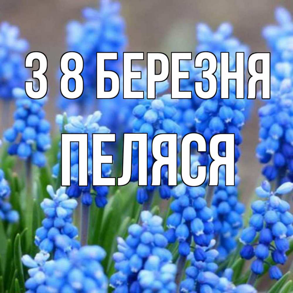 Открытка на каждый день з підписом, Пеляся З 8 БЕРЕЗНЯ Поздравительная открытка для женщин с цветами на праздничную дату Прикольна листівка з побажанням онлайн скачати безкоштовно 