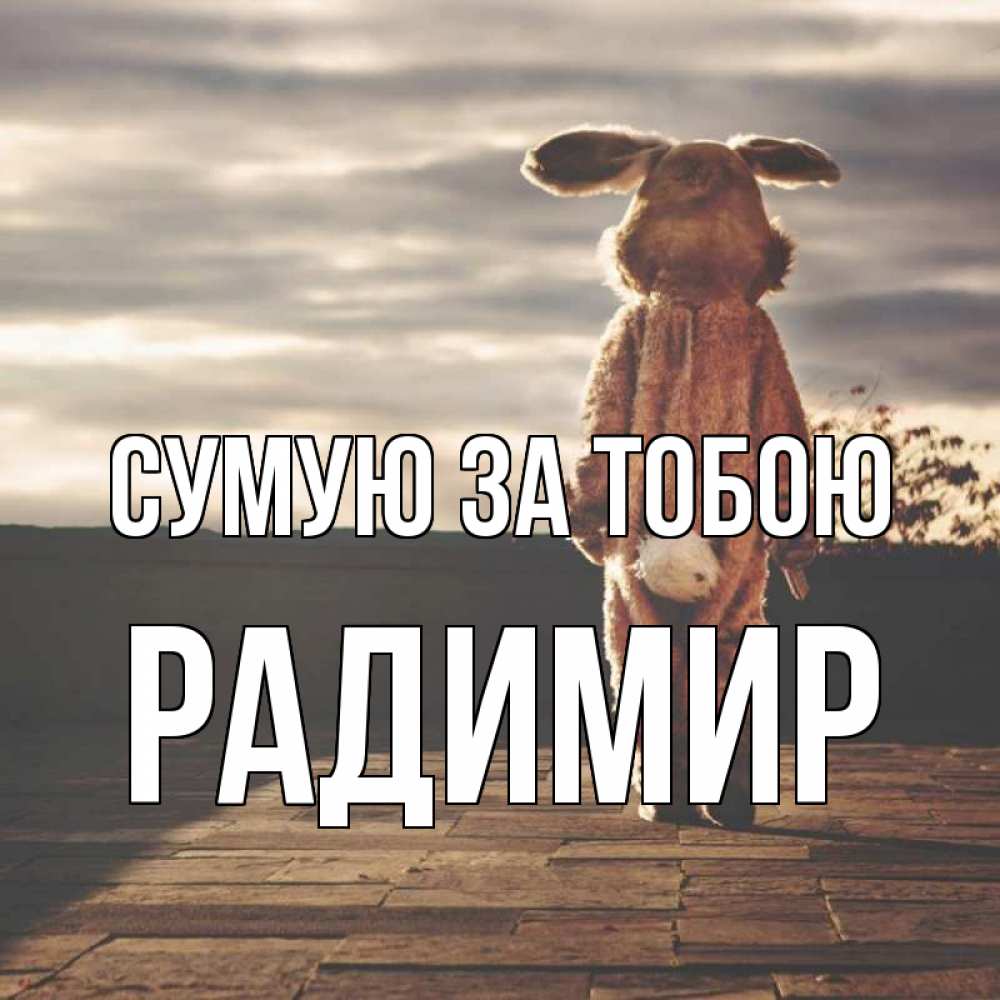 Открытка на каждый день з підписом, Радимир Сумую за тобою даже в костюме зайца Прикольна листівка з побажанням онлайн скачати безкоштовно 