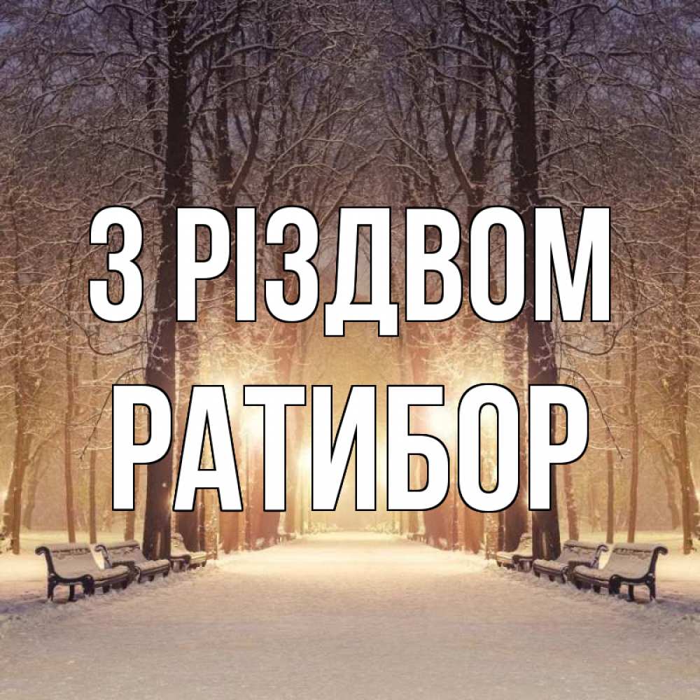 Открытка на каждый день з підписом, Ратибор З Різдвом зима, парк, фонарь, лес Прикольна листівка з побажанням онлайн скачати безкоштовно 